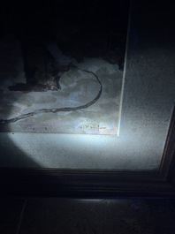 Nicolae Tonitzae (1886-1940): City view of presumably Mangalia, oil on board