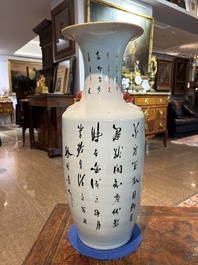 Two Chinese iron-red 'Buddhist lions' vases, 19th/20th C.