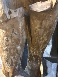 A large limewood sculpture of the crucified Saint Dismas, Germany, 16th C.