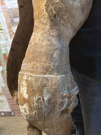 A large limewood sculpture of the crucified Saint Dismas, Germany, 16th C.