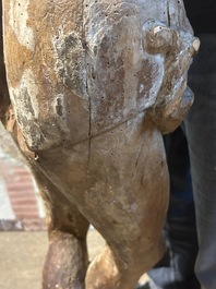 A large limewood sculpture of the crucified Saint Dismas, Germany, 16th C.