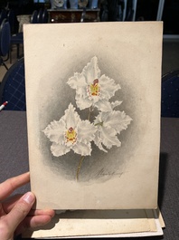 Illegibly signed: 30 studies of orchids, watercolour on paper, dated between 1907 and 1920