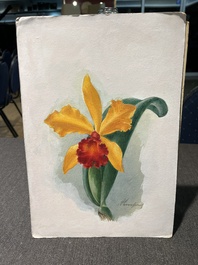 Illegibly signed: 30 studies of orchids, watercolour on paper, dated between 1907 and 1920