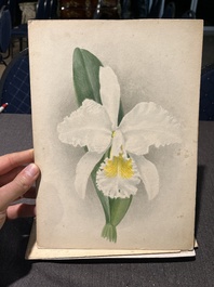 Illegibly signed: 30 studies of orchids, watercolour on paper, dated between 1907 and 1920