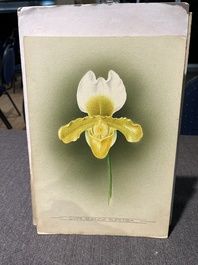 Illegibly signed: 30 studies of orchids, watercolour on paper, dated between 1907 and 1920