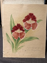 Illegibly signed: 30 studies of orchids, watercolour on paper, dated between 1907 and 1920