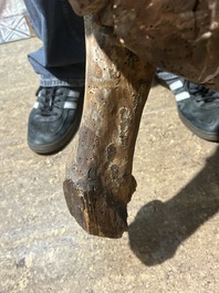 A large limewood sculpture of the crucified Saint Dismas, Germany, 16th C.