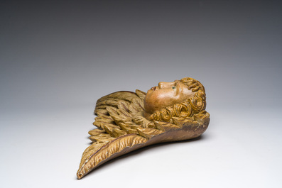 T&ecirc;te d'ange en ch&ecirc;ne sculpt&eacute; et polychrome, probablement d'Europe centrale, 18&egrave;me si&egrave;cle