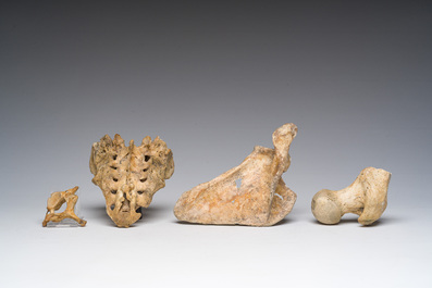 Un cr&acirc;ne d'&eacute;tude ancien et plusieurs fragments d'os