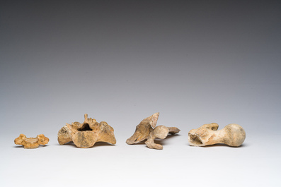 Un cr&acirc;ne d'&eacute;tude ancien et plusieurs fragments d'os