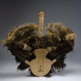 Grand buste taxidermique d'autruche, 20&egrave;me si&egrave;cle