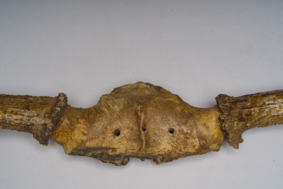 Grand bois de wapiti, 20&egrave;me si&egrave;cle