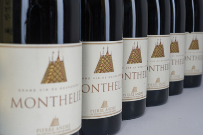 2000-2009 Ch&acirc;teau Pipeau et Monthelie, 12 bouteilles