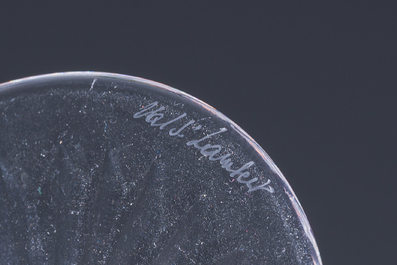 Twelve partly coloured overlay crystal cut glasses, model 'Munster', Val Saint Lambert, 20th C.