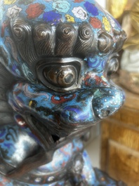 A pair of Chinese cloisonn&eacute; Buddhist lions on a wooden base, 20th C.