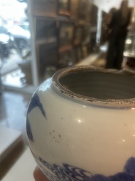 Vase en porcelaine de Chine bleu et blanc &agrave; d&eacute;cor de cerfs et de grues dans un paysage, Kangxi