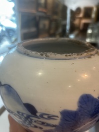Vase en porcelaine de Chine bleu et blanc &agrave; d&eacute;cor de cerfs et de grues dans un paysage, Kangxi