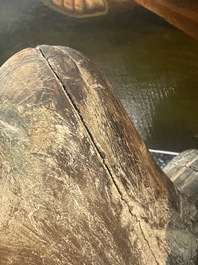 Sculpture de Luohan en bois sculpt&eacute; avec des traces de polychromie, 19&egrave;me si&egrave;cle