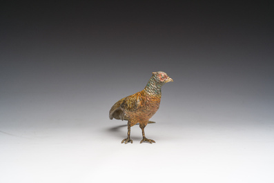 Een Weens polychroom koud beschilderd bronzen model van een fazant, 19de/20ste eeuw