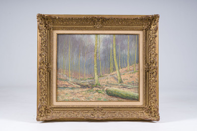 Louis Clesse (1889-1961): 'Automne en for&ecirc;t', oil on board