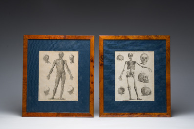 Andrew Bell (1726-1809): Eight copper engravings relating to human anatomy from the 'Encyclopaedia Britannica'