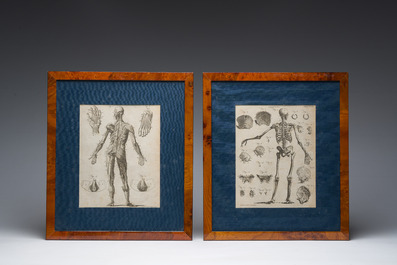 Andrew Bell (1726-1809): Eight copper engravings relating to human anatomy from the 'Encyclopaedia Britannica'