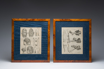Andrew Bell (1726-1809): Eight copper engravings relating to human anatomy from the 'Encyclopaedia Britannica'
