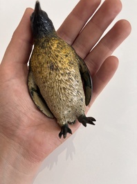 A Viennese polychrome cold painted bronze model of a penguin, 19th/20th C.