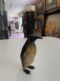 A Viennese polychrome cold painted bronze model of a penguin, 19th/20th C.