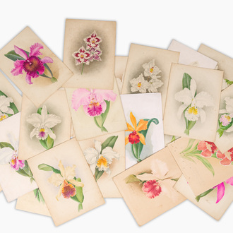 Illegibly signed: 30 studies of orchids, watercolour on paper, dated between 1907 and 1920