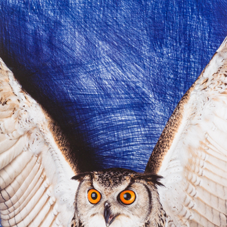 Jan Fabre (1958): Open your heart wide to the body of life, cibachrome photography print, ed. 19/45, [1991]