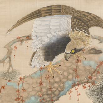Chinese school: Een arend op een bloesemtak, inkt en kleur op zijde, 20ste eeuw