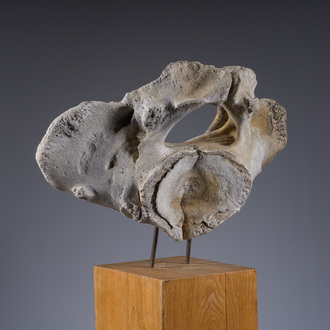 A large whale vertebra mounted on a wooden base, s.d.