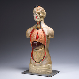 A German hand-painted plaster anatomical model, Phywe, second third 20th C.