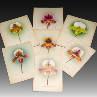 Frederick William Bolas (1871-1951) et Nelly Roberts (1872–1959): sept études d'orchidées, technique mixte sur papier