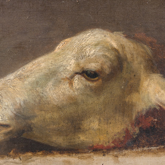 Ecole belge: Tête de mouton, huile sur toile marouflée sur board, 19ème siècle