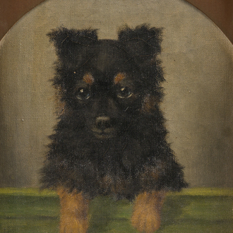 Sophie Pir (1858-1936): Un chien appuyé sur un banc, huile sur toile