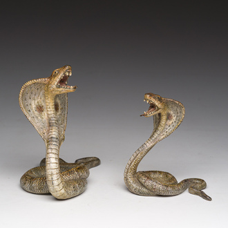 Franz Xaver Bergmann (1861-1936): Two Viennese polychrome cold painted bronze models of cobras, 19th/20th C.