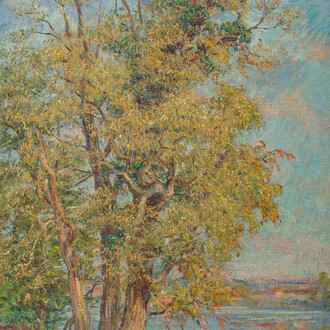 Karel (Charles) Theunissen (1871–1948): Trees by the Bosvoorde pond, oil on canvas