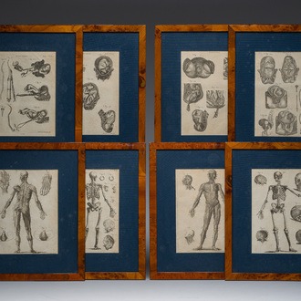 Andrew Bell (1726-1809): Eight copper engravings relating to human anatomy from the 'Encyclopaedia Britannica'
