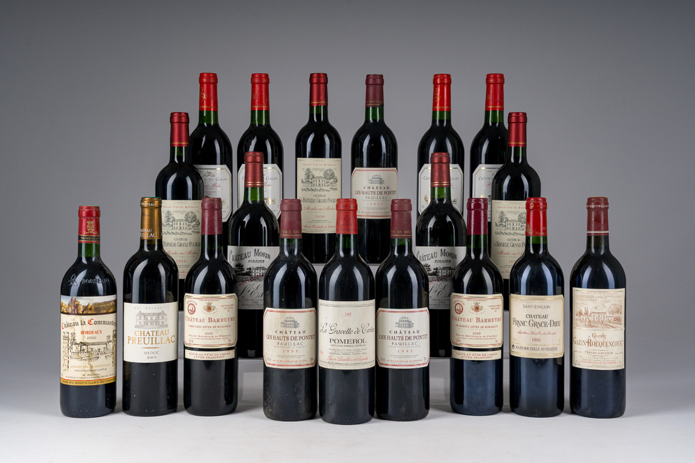 1995-2006 Gevarieerde collectie wijn, o.a. Ch&acirc;teau Les Hauts De Pontet, Ch&acirc;teau La Commanderie, Ch&acirc;teau Preuillac, etc., 19 flessen