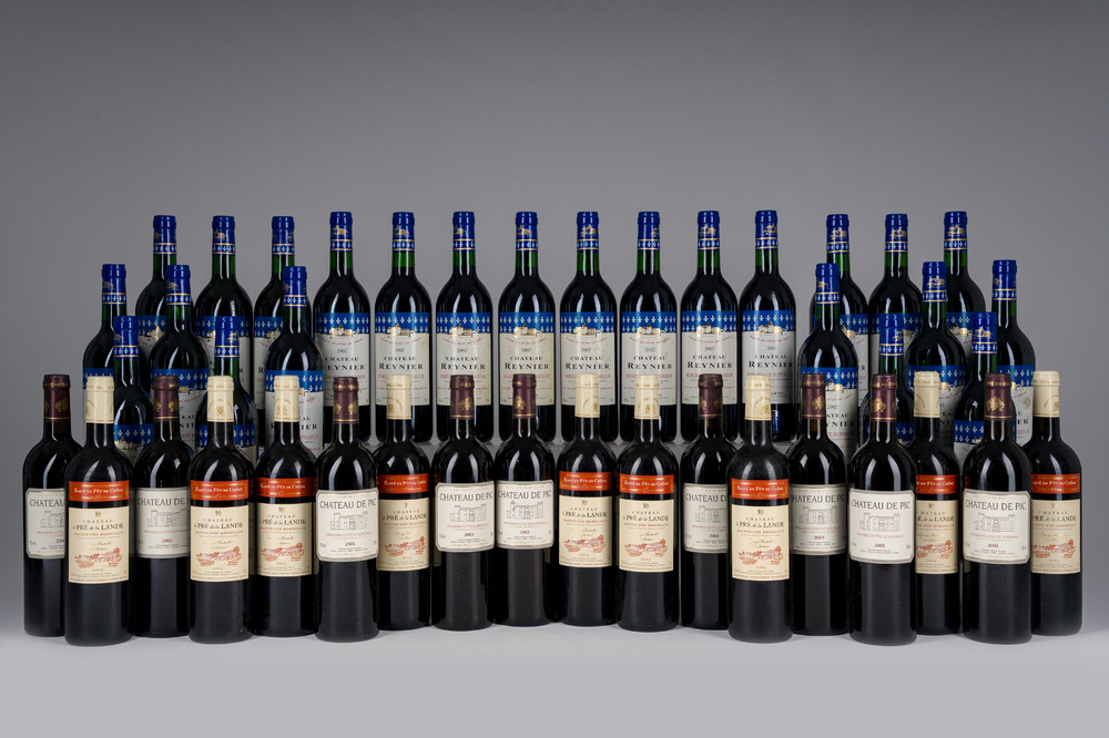 2002-2003 Ch&acirc;teau Reynier, Ch&acirc;teau le Pr&eacute; la Lande, Ch&acirc;teau de Pic, Bordeaux, 42 flessen