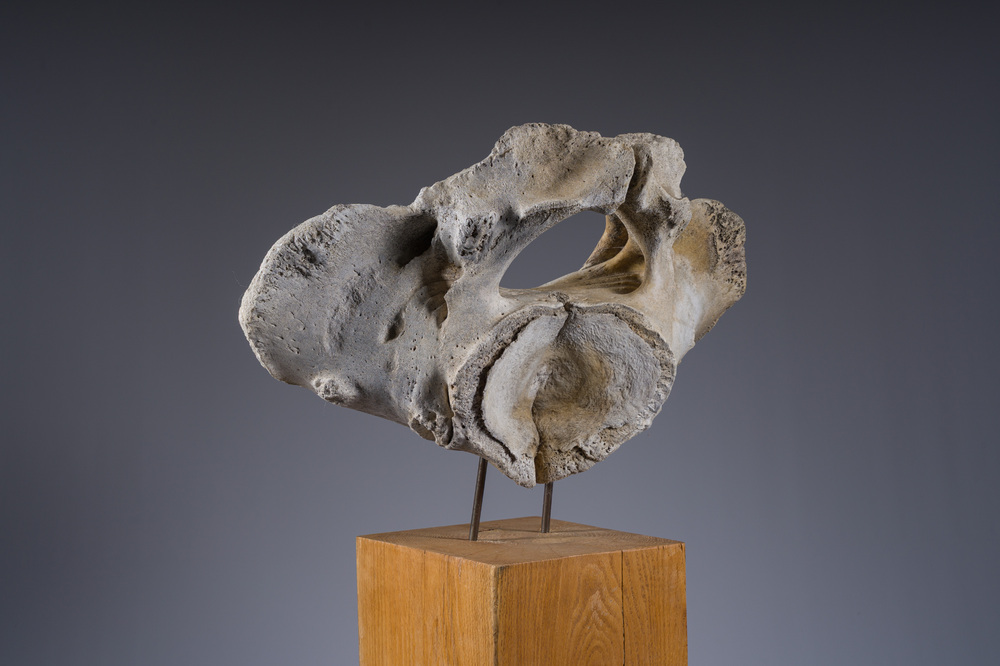 A large whale vertebra mounted on a wooden base, s.d.