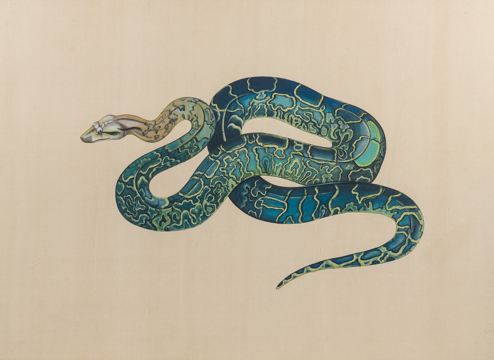 Japanse school: Een slang, inkt en kleur op zijde, Meiji, 19de/20ste eeuw