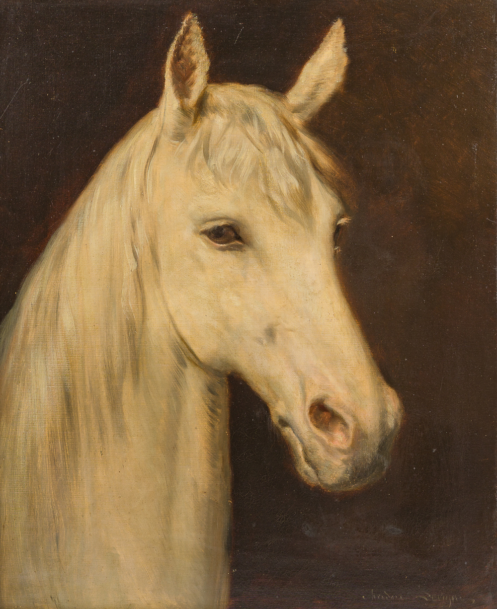 Th&eacute;odore L&eacute;vigne (1848-1912): T&ecirc;te de cheval blanc, huile sur toile