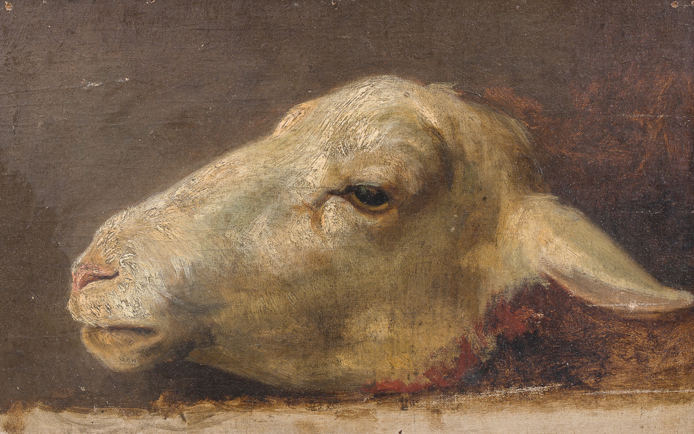Ecole belge: T&ecirc;te de mouton, huile sur toile maroufl&eacute;e sur board, 19&egrave;me si&egrave;cle