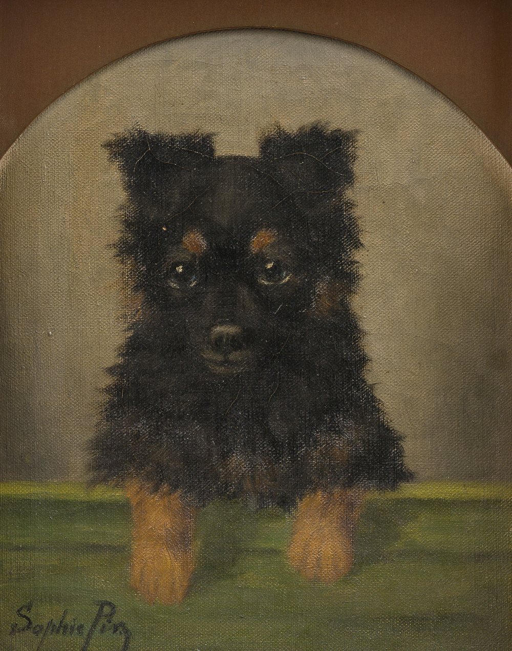 Sophie Pir (1858-1936): A dog leaning on a bench, oil on canvas