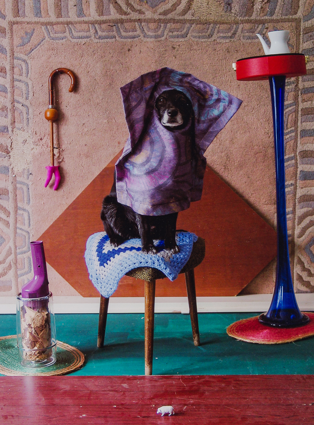Thorsten Brinkmann (1969): 'Mara van R&uuml;dipuss - Ernie, Portraits of a Studiodog', chromogenetische print, gedateerd 2011