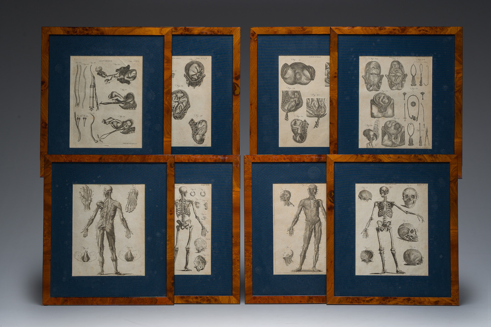 Andrew Bell (1726-1809): Eight copper engravings relating to human anatomy from the 'Encyclopaedia Britannica'