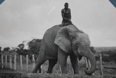Casimir Ostoja Zagourski (1883-1944), "L'Afrique qui dispara&icirc;t", origineel lederen foto-album, Congo, vroeg 20e